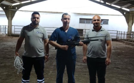 Antalya’nın "Firari" Timi Göreve Hazır: Kaçan Kurbanlıkların Korkulu Rüyası!