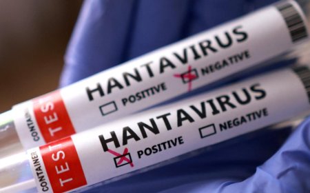 Dünya Alarmda! AB’den Korkutan Hantavirüs Çıkışı: Yeni Bir Salgın mı Başlıyor?