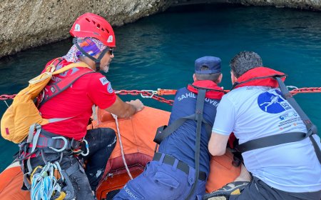 Kemer'de Akdeniz Fokları İçin Tarihi Adım: Döküntü Koyu Koruma Altında!