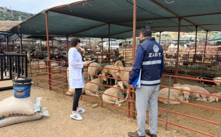 Kepez’de Kurban Bayramı Hazırlıkları Tamam: Ücretsiz Kesim Hizmeti Verilecek!