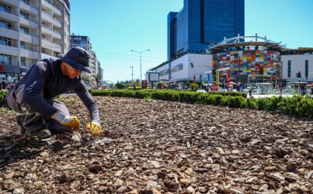 Antalya’da Peyzajda Tasarruf Devrimi: Su ve Enerji Tüketimi Yüzde 50 Azaldı