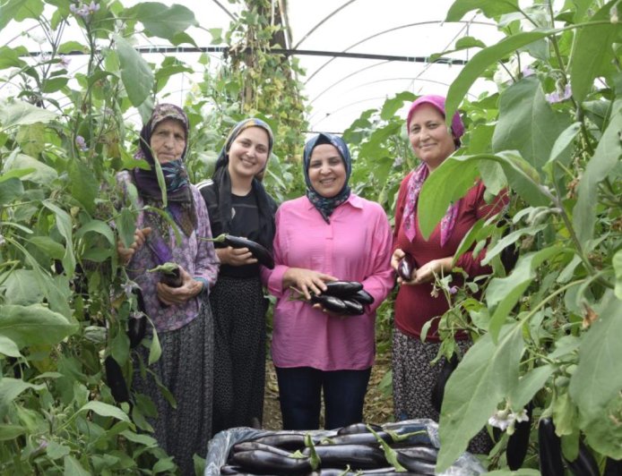 Aynı Serada Üç Nesil: Anneanne, Anne ve Torunun Üretim Aşkı
