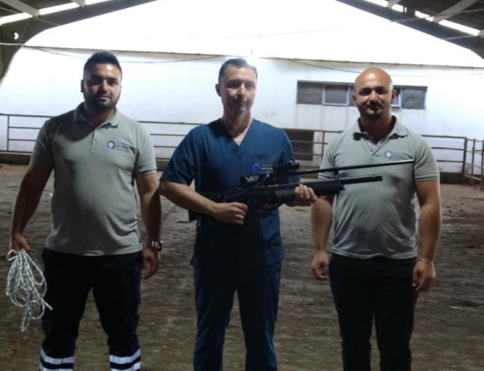 Antalya’nın "Firari" Timi Göreve Hazır: Kaçan Kurbanlıkların Korkulu Rüyası!
