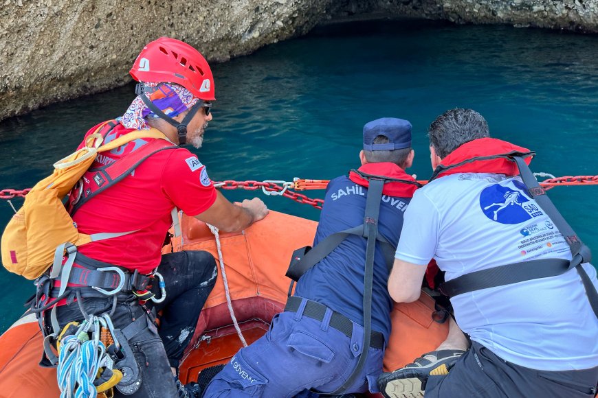 Kemer'de Akdeniz Fokları İçin Tarihi Adım: Döküntü Koyu Koruma Altında!