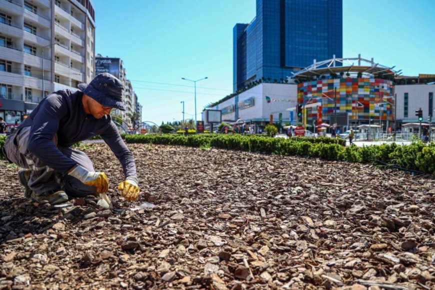 Antalya’da Peyzajda Tasarruf Devrimi: Su ve Enerji Tüketimi Yüzde 50 Azaldı
