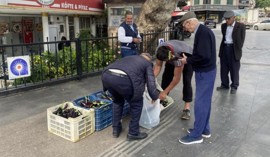 Serik'te Patlıcan Hasadı Vatandaşa Kaldı: Seranın Kapıları Ücretsiz Açıldı.