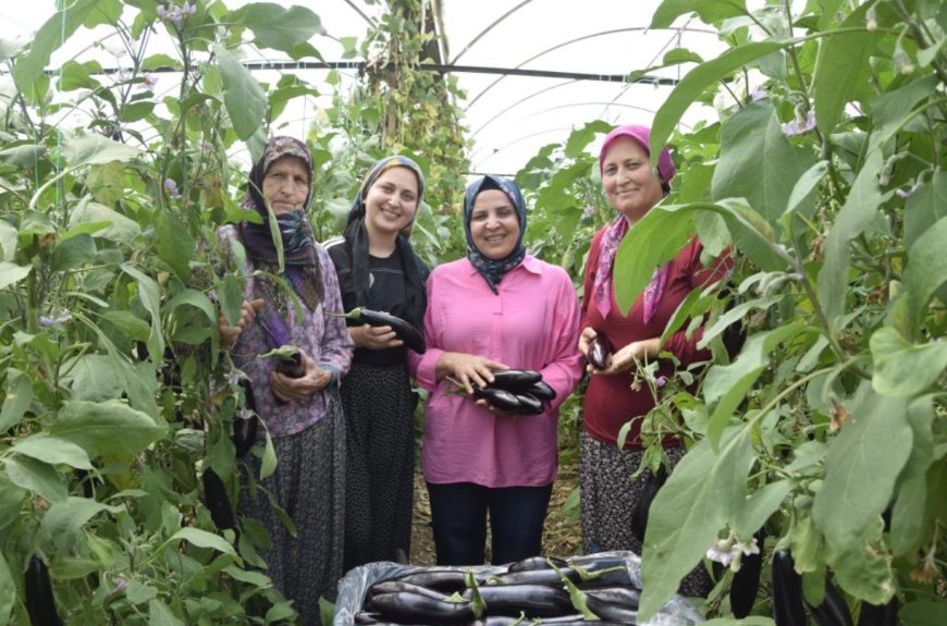 Aynı Serada Üç Nesil: Anneanne, Anne ve Torunun Üretim Aşkı
