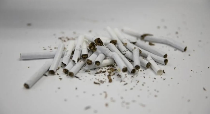 Gençlerde Kalp Krizi Riski: Uzmanlardan Sağlıksız Yaşam Uyarısı