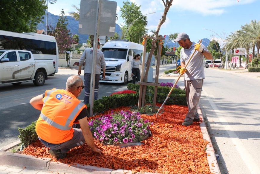 Kemer’e Büyükşehir Estetiği: Çevre Dostu Dokunuşlarla Yepyeni Bir Görünüm!