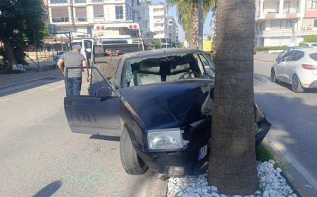 Manavgat'ta Otomobil Palmiyeye Çarptı: 4 Genç Yaralandı