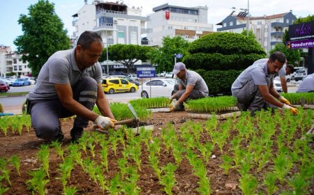 Konyaaltı Belediyesi Üretiyor, Cadde ve Sokaklar Güzelleşiyor