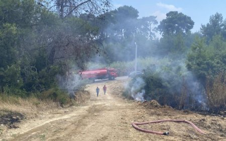Antalya Aksu’da Ormanlık Alanda Çıkan Yangın Söndürüldü