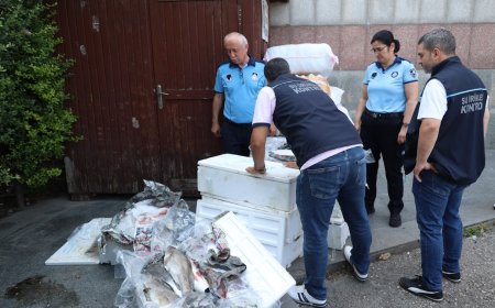 Antalya Otogarı’nda Şaşırtan Operasyon: Balıklara El Konuldu