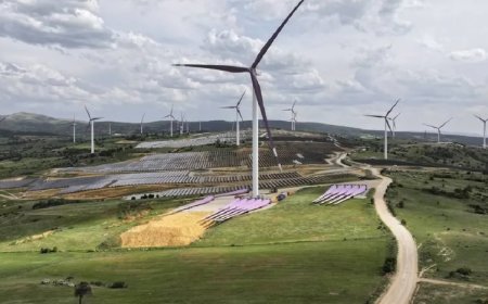 Türkiye’ye Yenilenebilir Enerji İçin 468 Milyon Dolarlık Yeni Kaynak