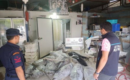 Antalya’da gerçekleştirilen denetimlerde avlanması ve satışı yasak olan 603,2 kilogram su ürününe el konuldu