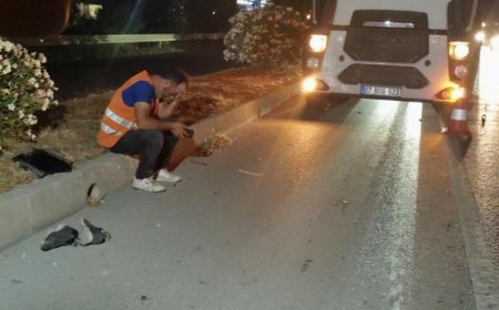 Manavgat’ta Zincirleme Trafik Kazası Can Aldı