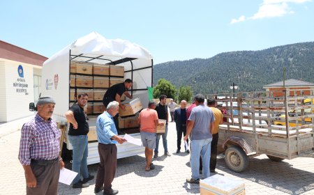 Antalya Büyükşehir’den Arıcılığa Büyük Destek: 283 Üreticiye 849 Arı Kovanı Hibe Edildi
