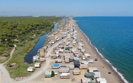 Kumköy Sahiline Halk Plajı Geliyor: Caretta Carettalar Korunacak