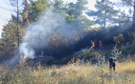 Manavgat’ta Spiralden Sıçrayan Kıvılcım Ormanı Yaktı: 1 Dönüm Alan Zarar Gördü.