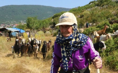 Döşemealtı’nın Asırlık Çınarı: 94 Yaşındaki Emine Nine 90 Yıldır Dağlarda Çobanlık Yapıyor!