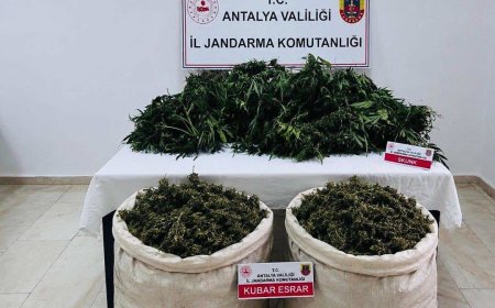 Serik’te Jandarmadan Dev Uyuşturucu Operasyonu: 11 Kilo Esrar ve Yüzlerce Kök Kenevir Ele Geçirildi!