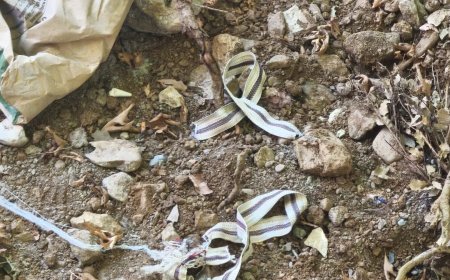 Gazipaşa’da Jandarmadan Hayat Kurtaran Müdahale: Devriye Ekipleri Ağaca Asılı Buldukları Vatandaşı Son Anda Kurtardı!