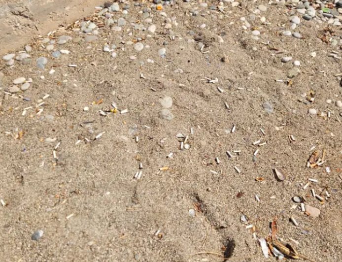 Çevre ve Halk Sağlığı İçin Yeni Adım: Sahillerde Sigara İçilmesi Yasaklandı