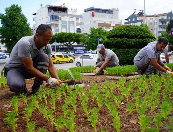 Konyaaltı Belediyesi Üretiyor, Cadde ve Sokaklar Güzelleşiyor
