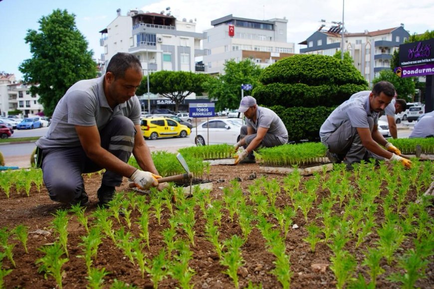 Konyaaltı Belediyesi Üretiyor, Cadde ve Sokaklar Güzelleşiyor