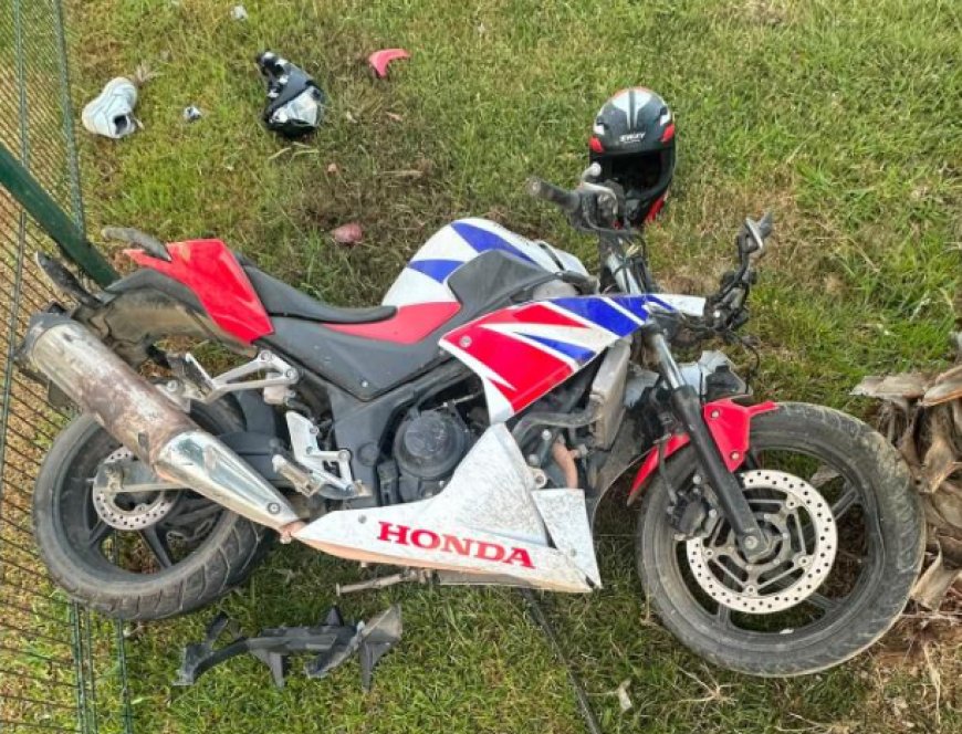Refüje ve Ağaca Çarpan Motosikletin Sürücüsü Hayatını Kaybetti