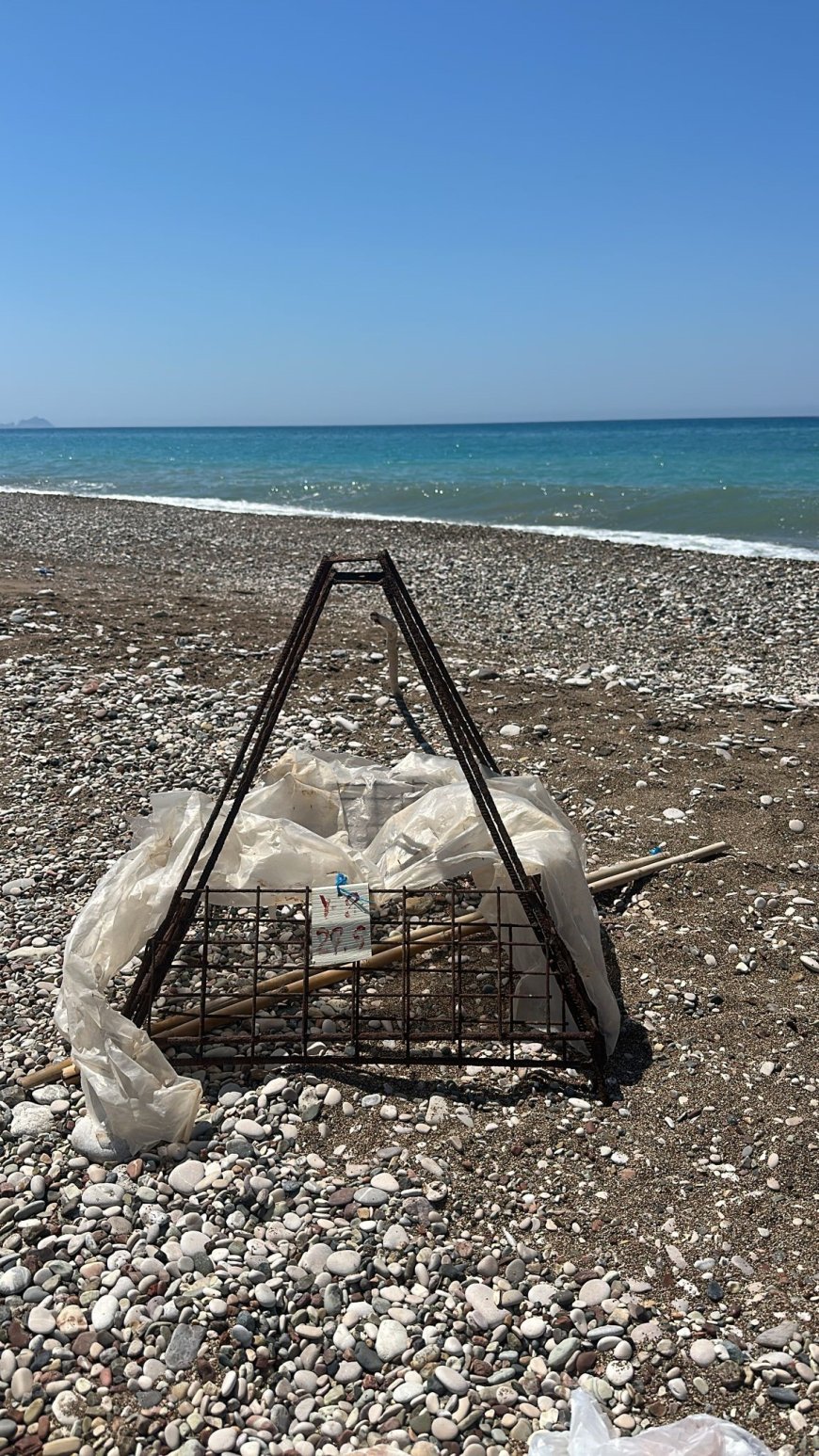 Caretta Caretta yuvalarında mangal ateşi yakıldı: Çevrecilerden tepki