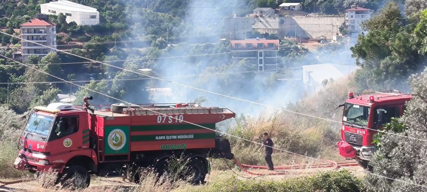 Alanya’da Zirai Alan Yangını: Muşmula ve Zeytin Ağaçları Zarar Gördü