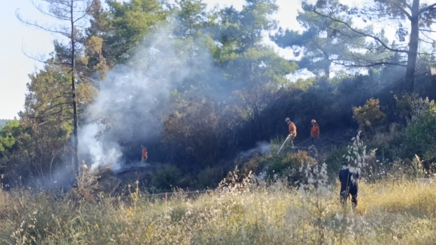 Manavgat’ta Spiralden Sıçrayan Kıvılcım Ormanı Yaktı: 1 Dönüm Alan Zarar Gördü.