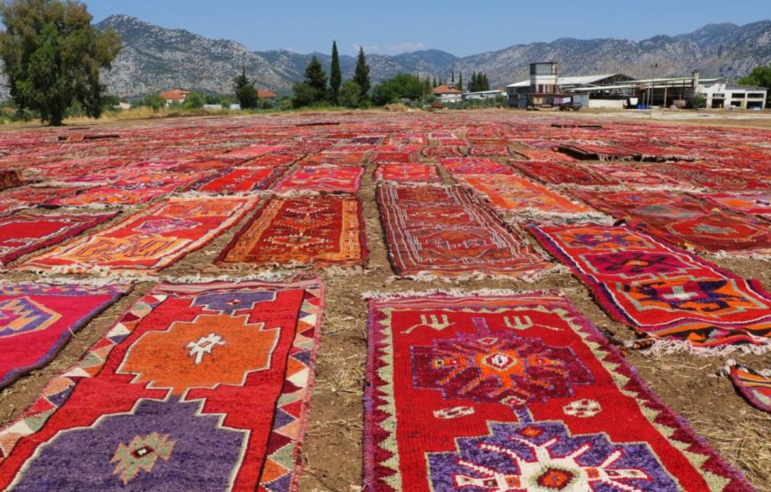 Antalya'daki Halı Tarlası Görenleri Hayran Bırakıyor