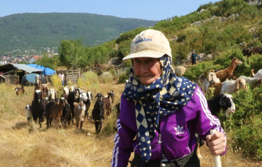 Döşemealtı’nın Asırlık Çınarı: 94 Yaşındaki Emine Nine 90 Yıldır Dağlarda Çobanlık Yapıyor!