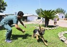 Muratpaşa Belediyesi'nden Patili Dostlara Yaz Mesaisi! Barınakta Serinletme Önlemleri Artırıldı