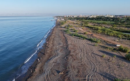 Antalya Sahillerinde Caretta Caretta Katliamı Gibi İhanet: Ayağına Taş Bağladılar, Yuvasında Mangal Yaktılar! Cezası 699 Bin TL