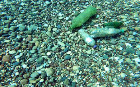 Denizin Altından Çarpıcı Uyarı: "Gençler Pet Şişeleri Taşla Doldurup Denize Atıyor"