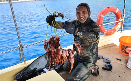 Antalya'da Aslan Balığı Avlama Yarışması Düzenlendi: 151 İstilacı Balık Yakalandı