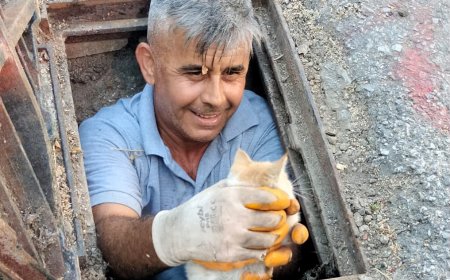 Alanya'da Mazgala Sıkışan Kedi Belediye Ekiplerince Kurtarıldı