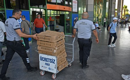 Antalya Otogarında 700 Kaçak Civciv Ele Geçirildi