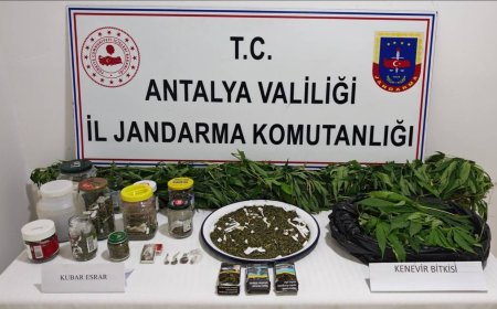 Manavgat’ta Uyuşturucu Operasyonu: 2 Kilo 100 Gram Esrar ve 130 Kök Kenevir Ele Geçirildi