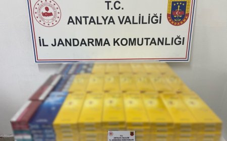 Gazipaşa’da Jandarmadan Kaçak Sigara Operasyonu: 145 Karton Ele Geçirildi