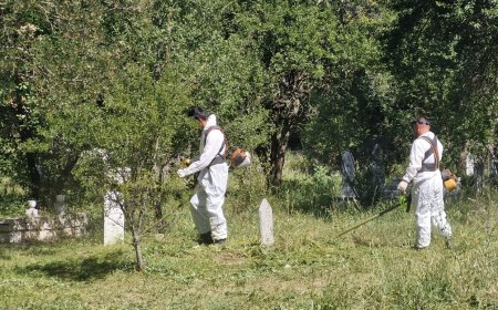 Büyükşehir Belediyesi İlçe Mezarlıklarında Bakım ve Düzenleme Çalışmalarını Sürdürüyor