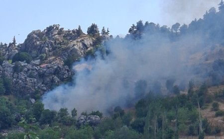 Alanya’da Kiraz ve Zeytin Bahçesinde Yangın: 1 Dönümlük Zirai Alan Zarar Gördü