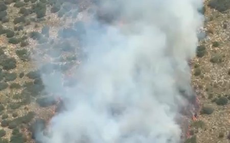 Demre’de Orman Yangını: Ekiplerin Havadan ve Karadan Müdahalesi Sürüyor
