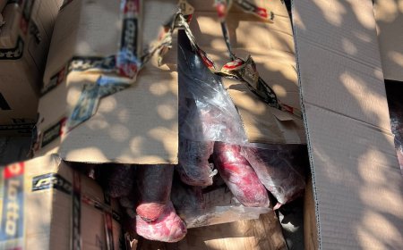 Alanya’da 300 kilogram menşei belirsiz kırmızı ete el konuldu