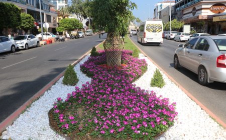 Alanya’da yangın riskine karşı yeşil alanlarda yoğun bakım çalışması