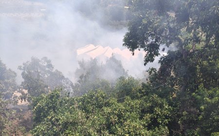 Alanya’da avokado bahçelerinde çıkan yangın kontrol altına alındı