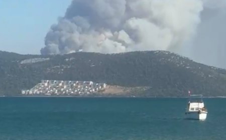 Didim Bozbük’te orman yangını: Havadan müdahale devam ediyor